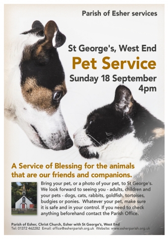 Rescheduled for Sunday 16 October